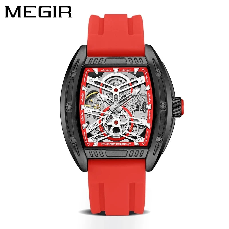 MEGIR 2228