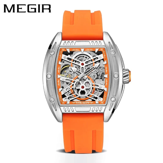 MEGIR 2228